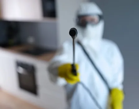 Biomart – control de plagas en Zaragoza