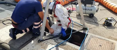 Blanco Plagas S.L – control de plagas en Barcelona