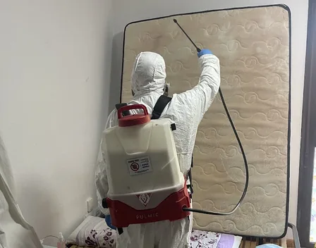 Control de Plagas y Fumigación Biocidas – control de plagas en Madrid