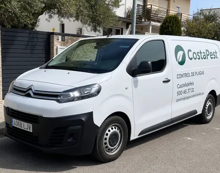 CostaPest | Control de Plagas Castelldefels – control de plagas en Castelldefels