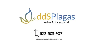 DDS Plagas | Control de Termitas | Eliminar Cucarachas – control de plagas en València