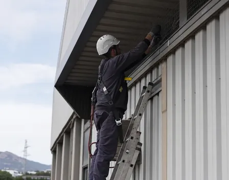 Deratik | Control de Plagas Sant Boi – control de plagas en Sant Boi de Llobregat