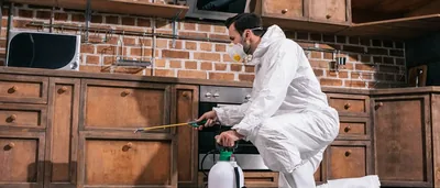 Desinfecciones Cimax Control de Plagas Barcelona – control de plagas en Barcelona
