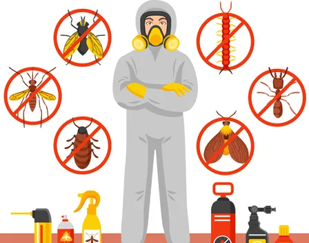 Desinfecciones Dys - Hy – control de plagas en Zaragoza