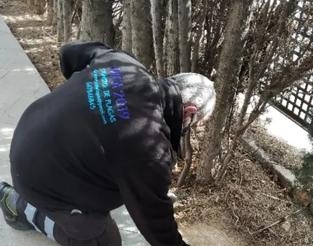 DICA2019 Control de Plagas – control de plagas en El Prat de Llobregat