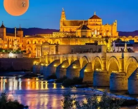 El FUMIGADOR® CONTROL DE PLAGAS CORDOBA – control de plagas en Córdoba