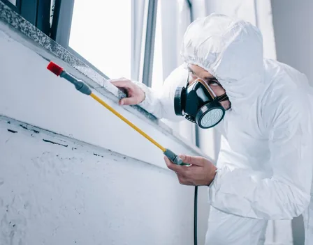 Fumi Pest – control de plagas en Madrid