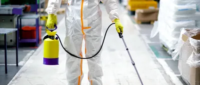 Fumigaciones Arroyomolinos | Control de Plagas – control de plagas en Arroyomolinos
