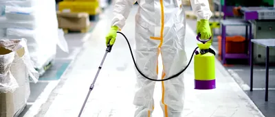 Fumigaciones Galapagar | Control de Plagas – control de plagas en Galapagar