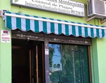 Fumigaciones Montequinto – control de plagas en Sevilla
