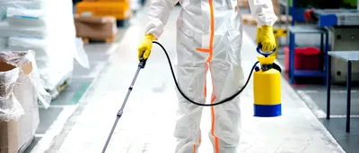 Fumigaciones Parla | Control de Plagas – control de plagas en Parla