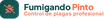 Logo de Fumigando Pinto | Control de Plagas