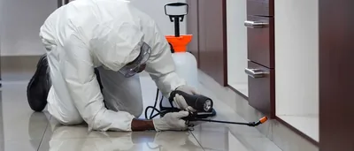 Fumivale – control de plagas en València