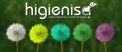 Higienisa – control de plagas en Mutxamel