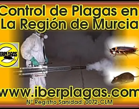 Iberplagas – control de plagas en La Marina