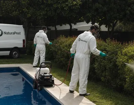 NaturaPest | Control Plagas Sant Cugat – control de plagas en Sant Cugat del Vallès