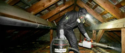 Plagas Córdoba Bioadal – control de plagas en Córdoba