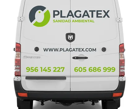 PLAGATEX – control de plagas en Jerez de la Frontera