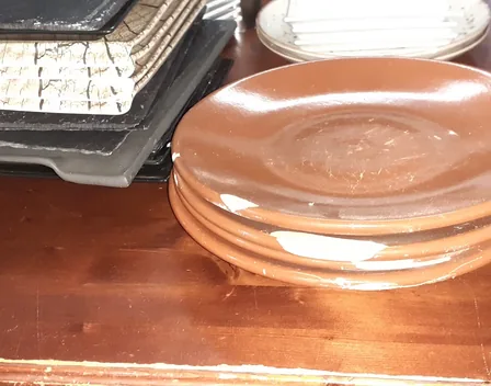Seranca Tenerife – control de plagas en Santa Cruz de Tenerife
