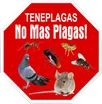 Logo de Teneplagas Gran Canaria
