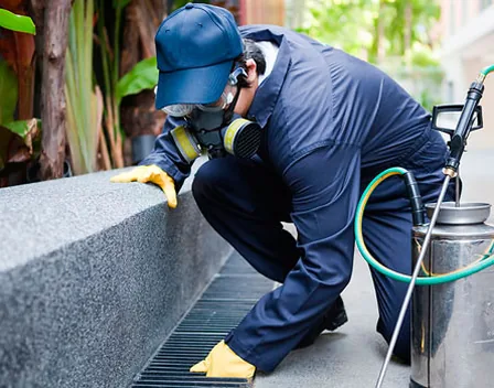 YGM Servicios – control de plagas en Las Palmas de Gran Canaria