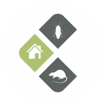 Logo de AlmuplazaDDD Control de Plagas Madrid
