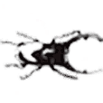 Logo de Bitxos.net