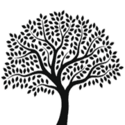 Logo de Controlcanarias.com