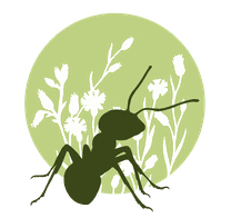 Logo de Coplana | Control de Plagas y Tratamiento Carcoma