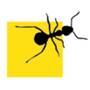 Logo de Desinsectaciones Costamalaga - Fumigacion de plagas en malaga