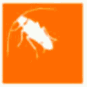 Logo de LIMPIEZAS Y CONTROL DE PLAGAS JAKE