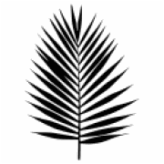 Logo de Terapia verde zaragoza