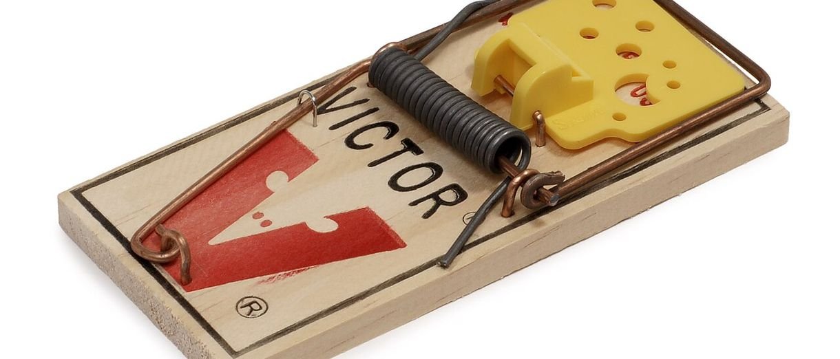 Imagen ilustrativa de control de plagas