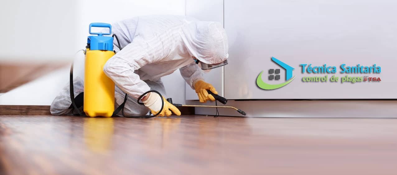 Imagen de portada de la web de Control de Plagas - Técnica Sanitaria