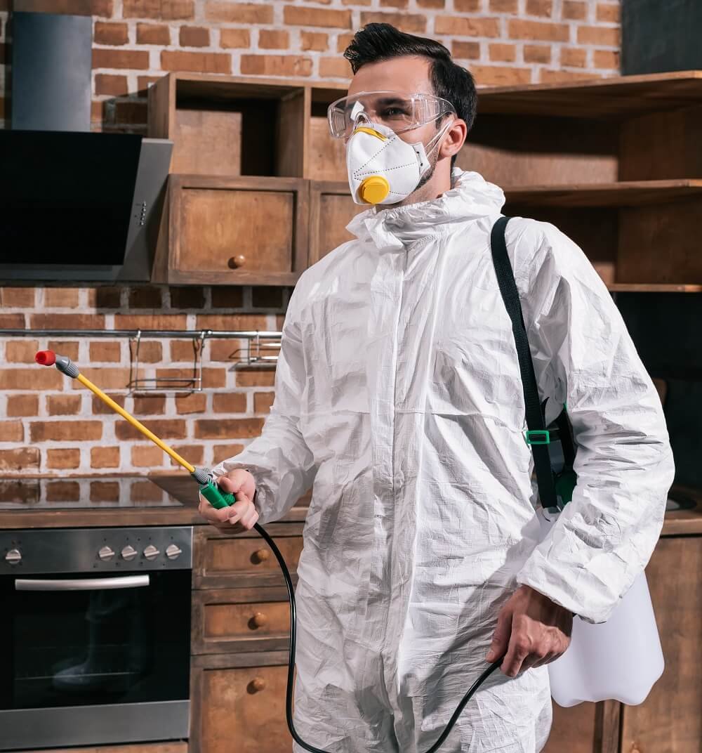 Imagen de portada de la web de Desinfecciones Cimax /Control de plagas Granollers