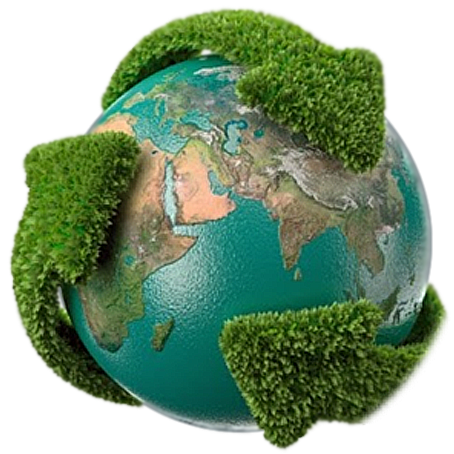Imagen de portada de la web de Ecokil Control de plagas en Costa Brava